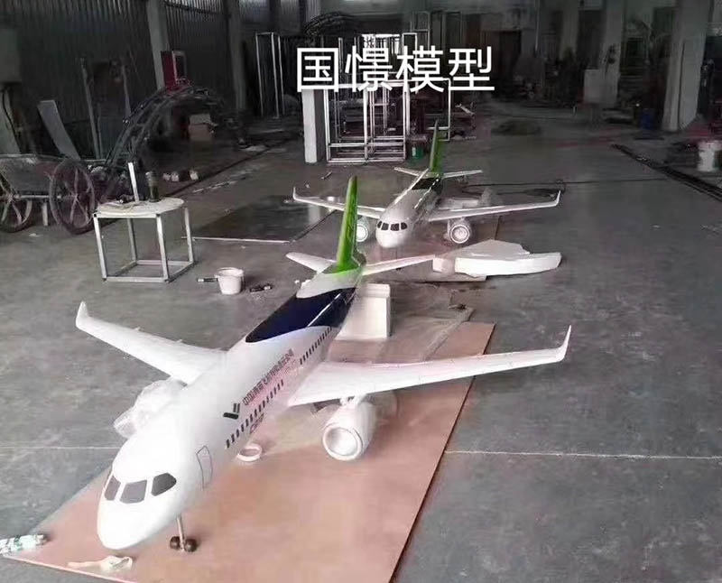 安泽县飞机模型