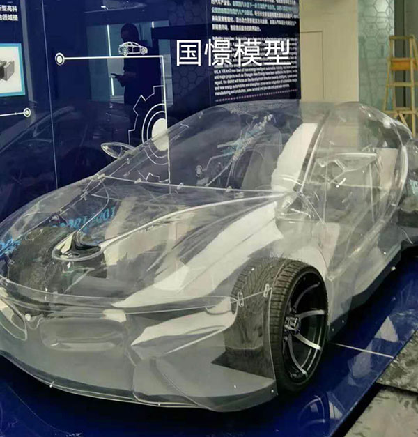 安泽县透明车模型
